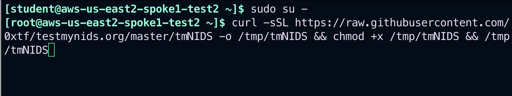 ../_images/lab6-sudo.png